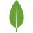 MongoDB icon